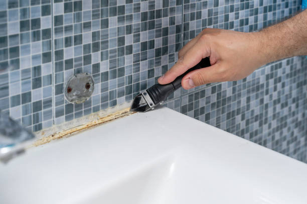 Best Industrial Mold Remediation in West Freehold, NJ
